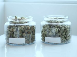 Medical marijuana vs recreational marijuana.