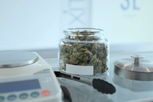 What to expect at a cannabis store?