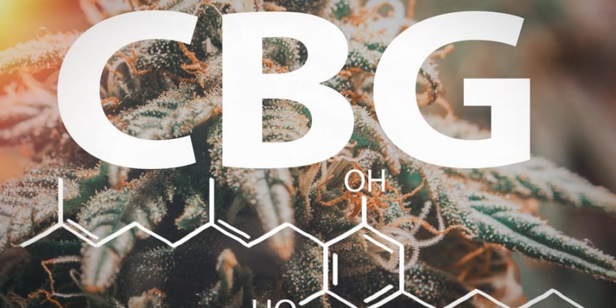 CBG is a minor cannabinoid you should know about