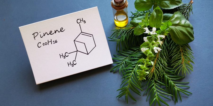 The pinene terpene chemical structure next to a vial and a cannabis plant.
